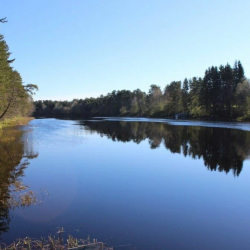 Фото Отель Алавойне