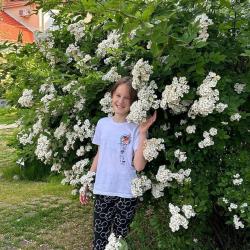 Фото Парк-отель Озеро Дивное