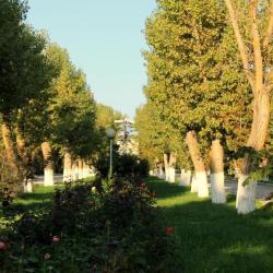 Фото Отель Volna Family Resort (Волна Фэмили Резорт)