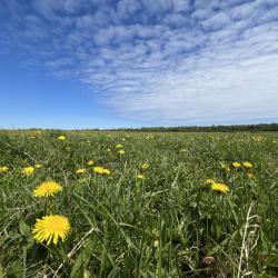 Фото Отель Гостевой дом Брейтово