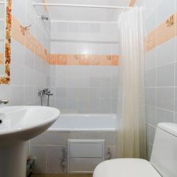 Фото Отель Родина