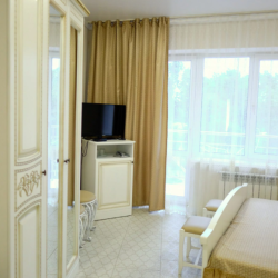 Номер стандарт с 1 двуспальной кроватью и дополнительным местом (с завтраком)