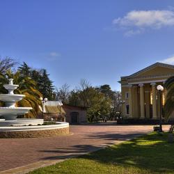 Фото Отель Viva Магнолия (Вива)