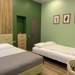 Комната стандарт семейная с 1 двуспальной кроватью и диваном