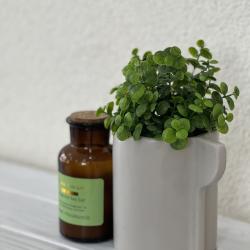 Коттедж стандарт