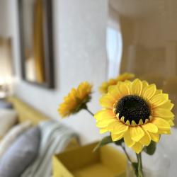 1-комнатные апартаменты стандарт