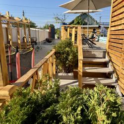 Фото Отель Лютик