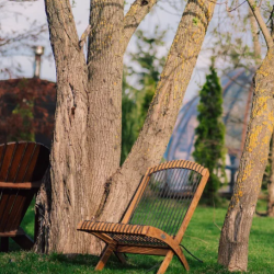 Фото Отель Заимка Грин Парк
