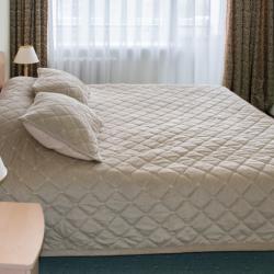 DIS President hotel (Дис Президент) — 335ca758d0a96613eff4f111f3051307