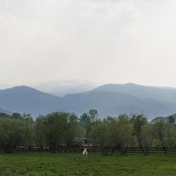 Фото Отель Koksa Camp (Кокса Камп)