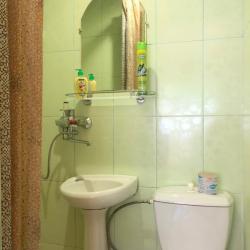 Фото Отель Дельфинчик