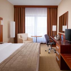 Номер стандарт с 1 двуспальной кроватью king-size