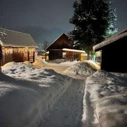 Фото Отель Алтай