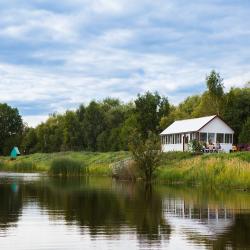 Фото Отель Подсолнухи