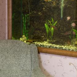 Фото Гостиница Грез