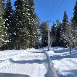 Фото Отель Greenhouse 1599 (ГринХаус 1599)