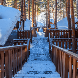 Фото Отель Ой-Карагай Лесная Сказка (Oi-Qaragai)