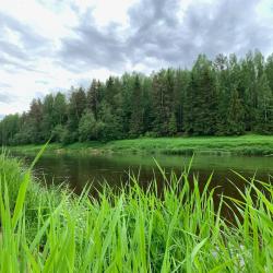 Фото Отель Любытино Хутор