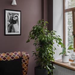 фото 20 Sleepy Tom Hotel (Слипи Том)