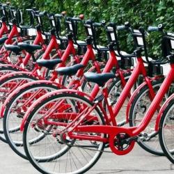 Фото Отель Цитрус