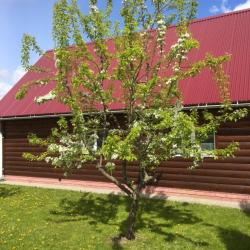 Фото Отель Династия