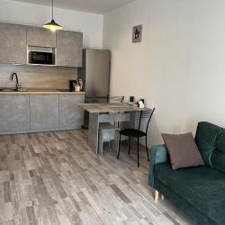 Фото Апартаменты Тихомиров по улице Начдива Васильева