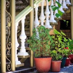 Фото Отель Панорама