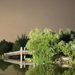 Фото Отель Aston Martin Tower ART (Астон Мартин Тауэр АРТ)