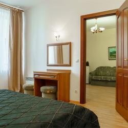 Номер люкс с 1 двуспальной кроватью