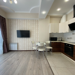 Апартаменты стандарт г. Сочи, ул. Крымская 89, кв. 833