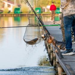Фото Отель Fisherix (Фишерикс)