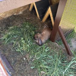 Коттедж стандарт