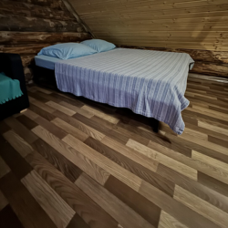Фото Отель Дом в лесу