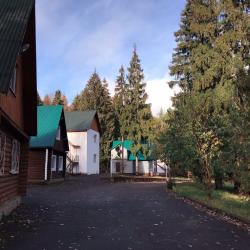 Фото Отель Лесная Сказка