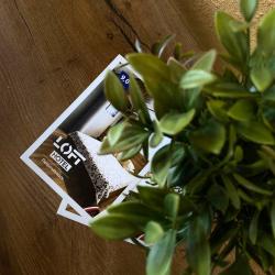 LOFT (Лофт) — 3425f91d2c384cad038e2660ac48daa3