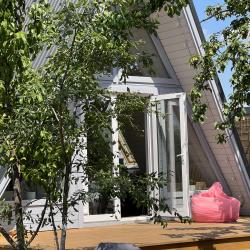 Дом у сосны