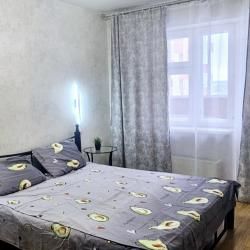 Фото Апартаменты на улице Адоратского 4