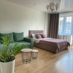 1-комнатные апартаменты стандарт улица Генерал-лейтенанта Озерова, 16А