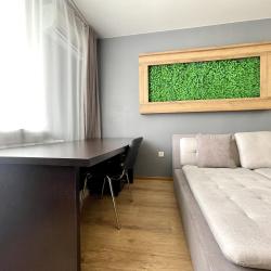 Фото Отель Flats-Line (Флэтс-Лайн) на Красноармейской 100