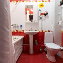 1-комнатный номер полулюкс с 1 двуспальной кроватью