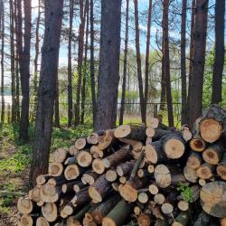 Фото Отель Горетово Парк