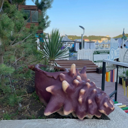 Фото Отель Русское море