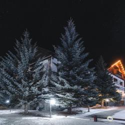 Фото Usengi Hotel and Hostel (Юсенги Отель и Хостел)