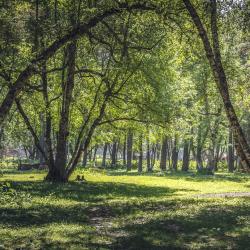 Фото Отель Eko Forest cottage (Эко Форест Коттедж)