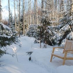 Фото Отель След Лося