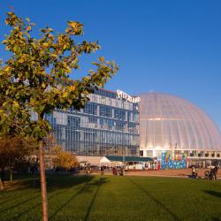 фото 8 PiterLand (Питерлэнд)