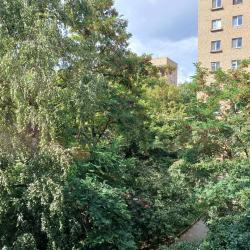 Фото Aday Apartments (Эдэй Апартаменты) на улице Блинова