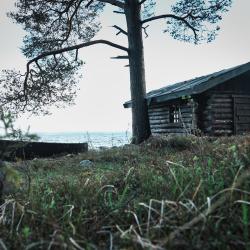 4-местный коттедж премиум