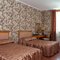 Номер стандарт с 2 односпальными кроватями (с завтраком)