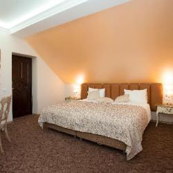 Фото Отель Серый Гусь